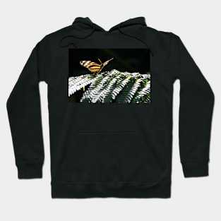 Butterfly Shadow Hoodie